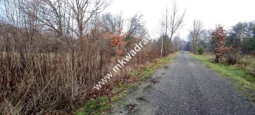  Działa 1123 m MPZP media Budy Grzybek 