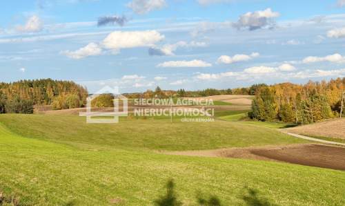 Działki na Kaszubach/Borzestwo/WZ/Woda