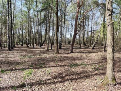 Działka budowlana na sprzedaż, 10904 m2, Anielin Swędowski