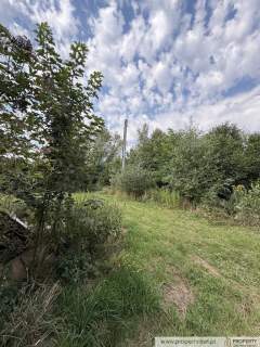 Dom 70 m2 w otoczeniu zieleni, Łęki Górne, Pilzno