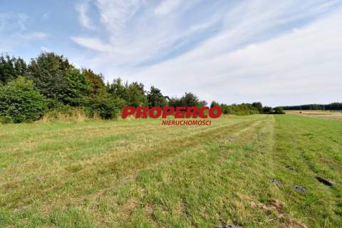 Działka pod Kielcami z MPZP, 9051 m2, Radlin,Górno