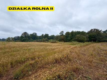 Działki rolne 2.63 ha Chełm Śląski NJ INVESTMENT