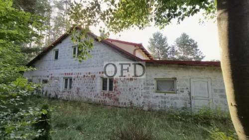 DOM W OTOCZENIU LASU RUDNO KOŁO WOŁOWA