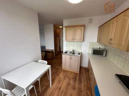 Kawalerka, pet-friendly - Al. Niepodległości 24