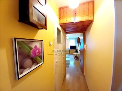 Mieszkanie 3- pokojowe Balkon Centrum