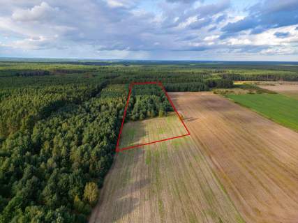 Działka rolna Jędrzejewo, gm. Czarnków