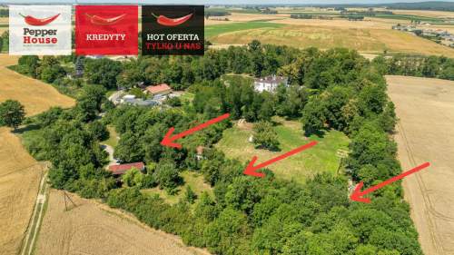 Domek całoroczny w otoczeniu drzew