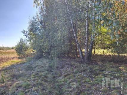 Działka inwestycyjna na sprzedaż, 3900 m2, Marków-Świnice