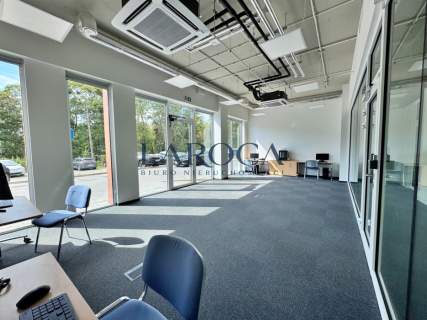 Witryny, szyld reklamowy, parter, Toruń centrum