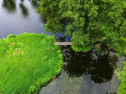 Dwór pod Płockiem