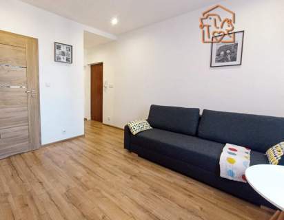 Wynajmę kawalerkę pet friendly,Al.Niepodległości 5