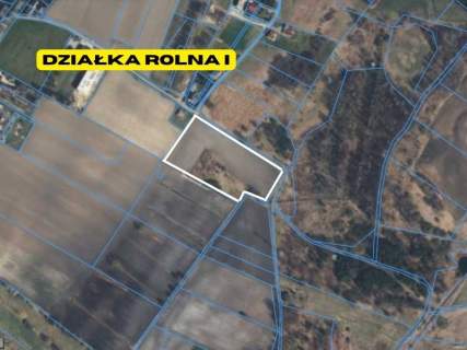 Działki rolne 2.63 ha Chełm Śląski NJ INVESTMENT