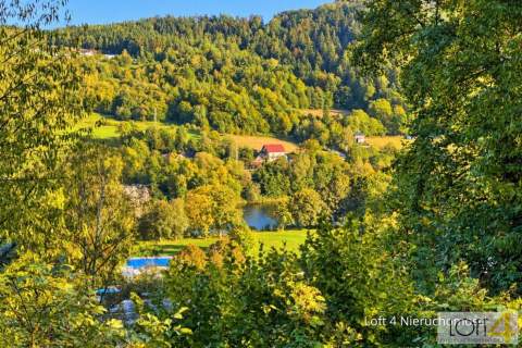Drewniany dom z widokiem na Dunajec