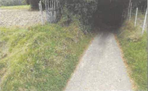 Działka rolna na sprzedaż, 5600 m2, Barycz