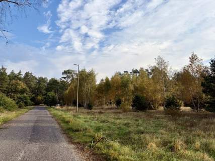 Miękowo Duża działka przy lesie 3 980 m 796 000 zł