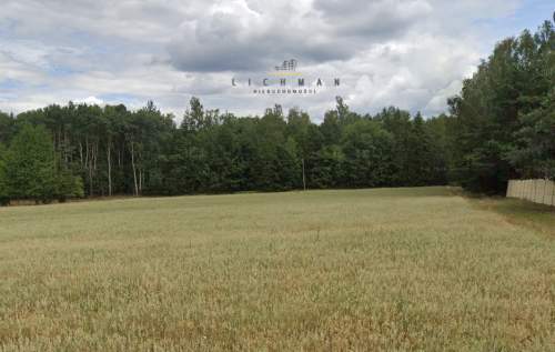 Działka leśna na sprzedaż Syski, gm. Mniszków