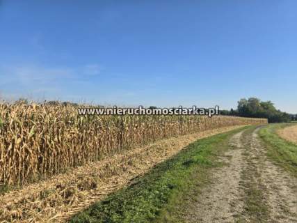 Działka rolna 45 arów Buków
