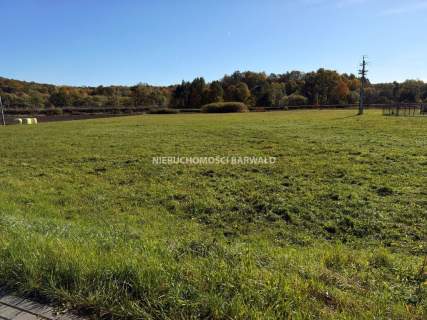 Działka inwestycyjna na sprzedaż, 10008 m2, Kalwaria Zebrzydowska