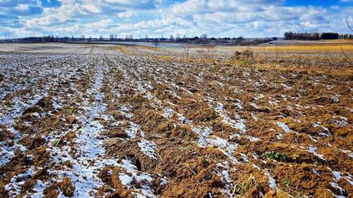 Działka budowlana Płouszowice Kolonia - 35ar