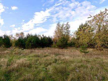 Miękowo Duża działka przy lesie 3 980 m 796 000 zł