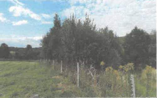 Działka rolna na sprzedaż, 5600 m2, Barycz