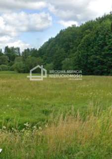 Działka 10.800m2 z WZ, Łapino Kartuskie
