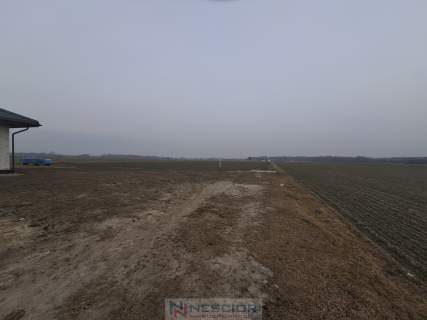 Działka budowlana 1000 m w Boroszkowie