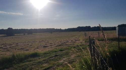 Działka budowlana na sprzedaż, 1100 m2, Sarbsk
