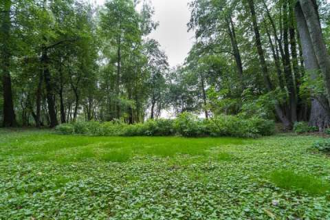 Prywatny park z możliwościa zabudowy/9400m/dostęp do rzeki Zw