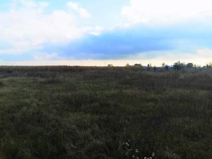 Działka siedliskowa na sprzedaż, 2681 m2, Gniezno