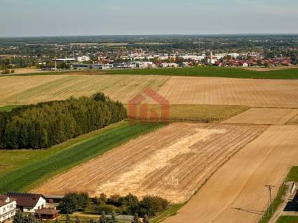 Działki siedliskowe,2 km Sędziszów Młp, Full MEDIA