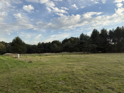 Zielona enklawa pod Wrocławiem, 1000 m, Prąd, MPZP