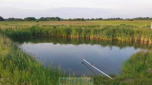 Działka 1200 m z domkiem całorocznym Kopcie