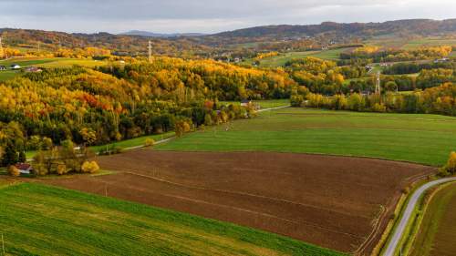 Działka rolna 2,60 ha   Łęki Górne - gm. Pilzno 