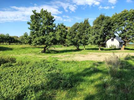 Działka siedliskowa w Zabielne 4 km od jeziora Roś Mazury