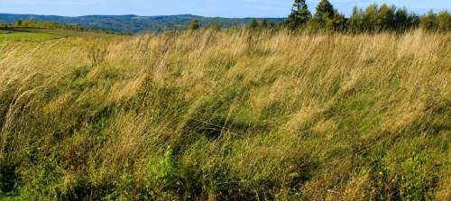 Dwie działki na sprzedaż 1800 m piękny widok