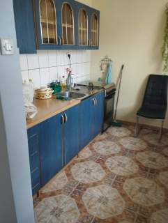 Działka ogrodowa Kulów przylesie