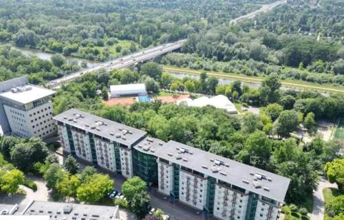 30 m nad Wartą widok na zieleń