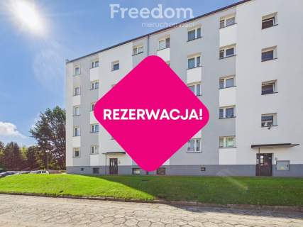 Przytulna kawalerka z oddzielną kuchnią i piwnicą