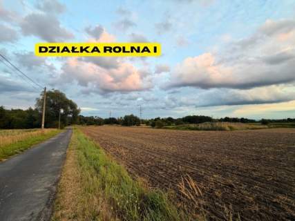 Działki rolne 2.63 ha Chełm Śląski NJ INVESTMENT