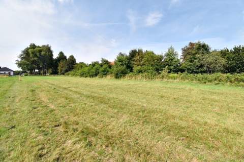 Działka pod Kielcami z MPZP, 9051 m2, Radlin,Górno