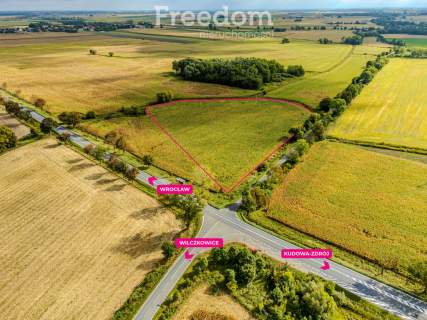 Działka inwestycyjna 2,31 ha Wilczkowice E8