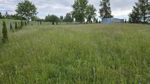 Sprzedam działkę w Orzechowie gm. Stare Juchy 783m