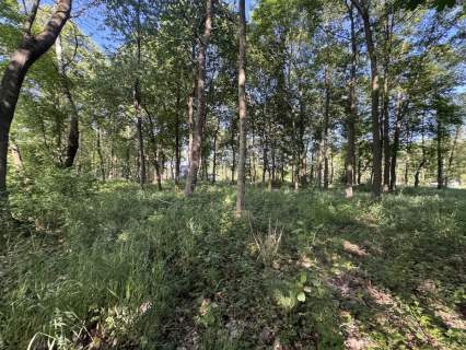 Działka budowlana na sprzedaż, 1709 m2, Rybno Wielkie