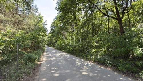 Cisza natura woda prąd światłowód MPZP Kampino