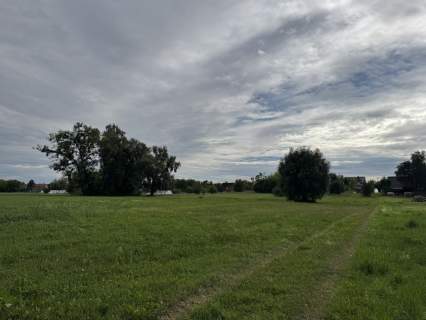 Działka inwestycyjna na sprzedaż, 12000 m2, Słupca