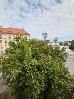Kawalerka w centrum Kalisza 23,68 m Piwnica i parking