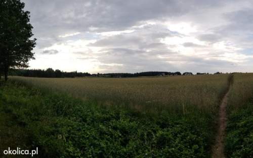 Przy samym LESIE - NAD JEZIOREM 500 m - Skarszewy - GDAŃSK