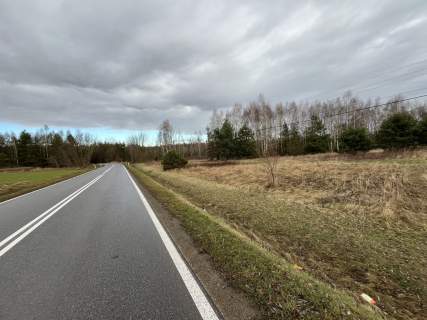 Duża działka inwestycyjna blisko Wisły w Kłudziu.