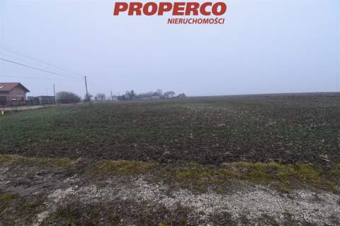 Działka 6200 m2, Potok Mały, gm. Jędrzejów
